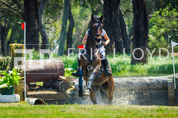 IMGP0553