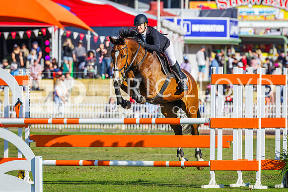 IMGP8088