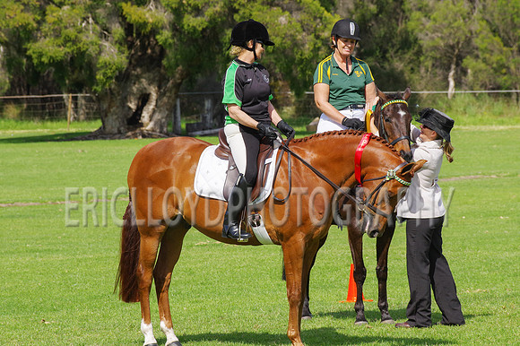 ARCA WH 2014-6598