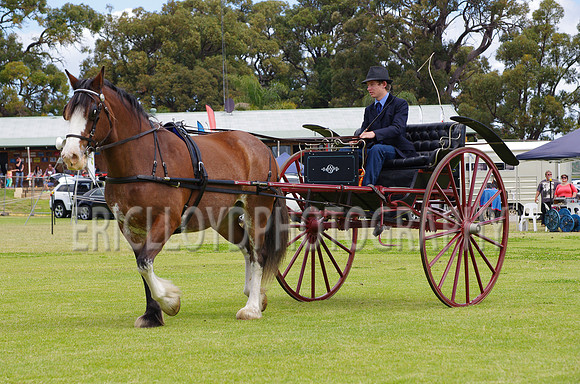 Jess-4132