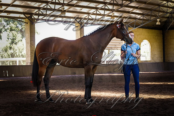 Brookleigh-9964