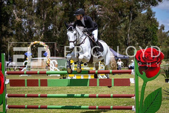 IMGP1167