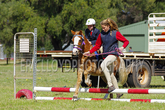 Bev Ag 2014-5163