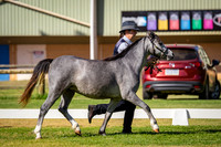 IMGP8074