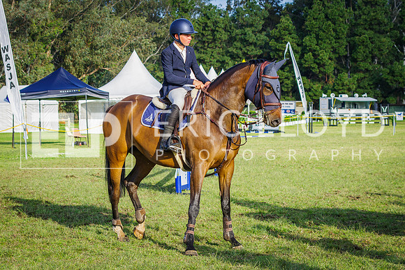 IMGP2105