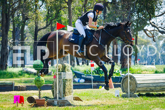 IMGP0558