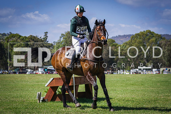 IMGP9637