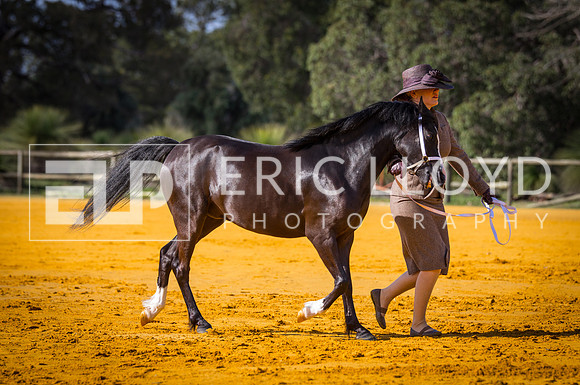 untitled-9624