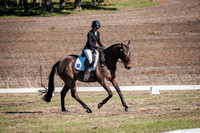 DSCF0884