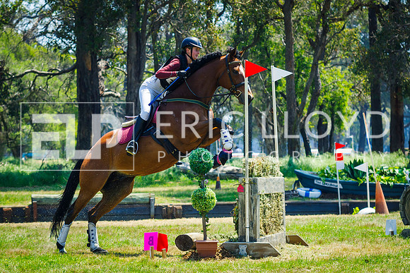 IMGP0529