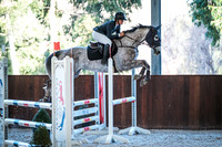 13B. Riverwood Lodge and Hygain Feeds 95cm-100cmm for 5 year old horses AM7 & Presentations