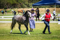 IMGP5726