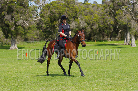 ARCA WH 2014-6610
