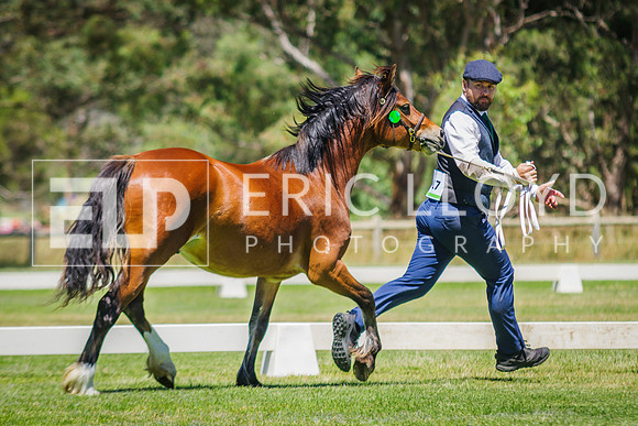 IMGP5880