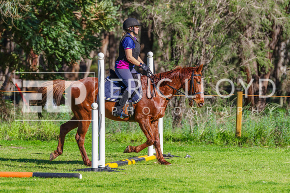 IMGP2576