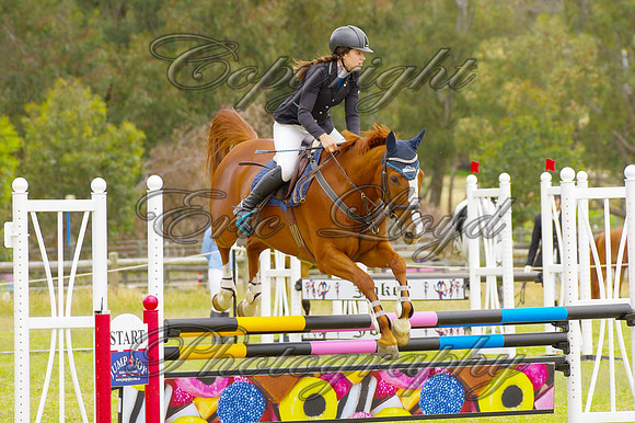 IMGP5955