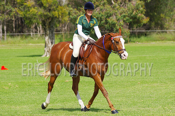 ARCA WH 2014-6605