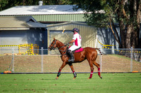3.00pm Nyarada - Sandalford