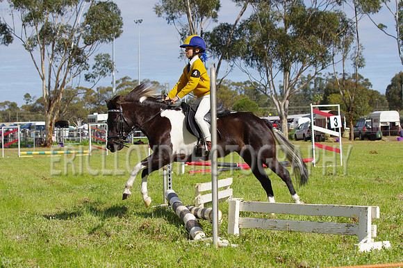 Bev Ag 2014-5135