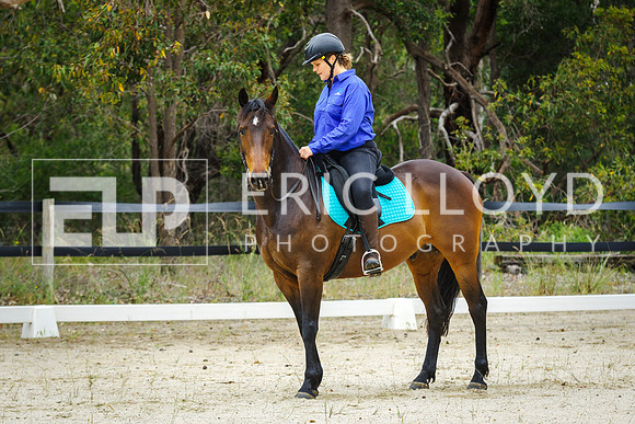 IMGP1174