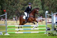 Showjumping