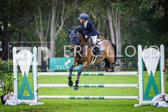 IMGP6247