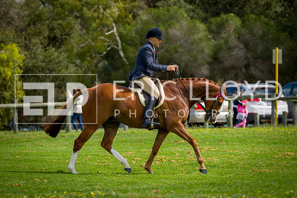 untitled-4795