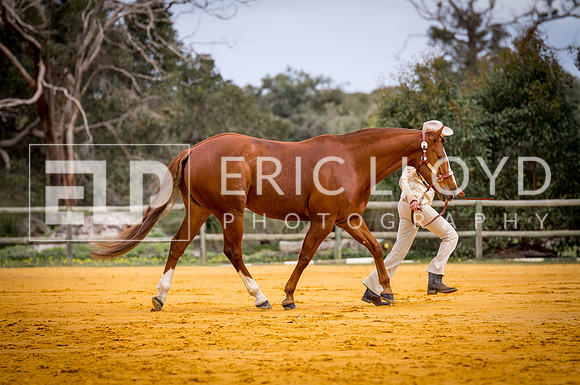 untitled-0633