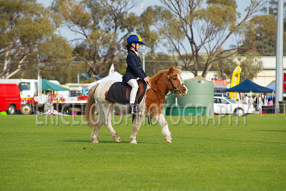 IMGP3442