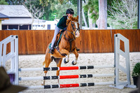 32A-B Open 80cm Optimum Time AM7 (238.5.2-245.3) (PCWA & EWA Members Only)