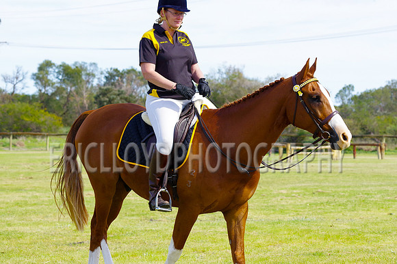 ARCA WH 2014-6581