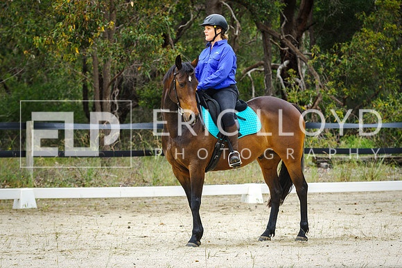 IMGP1175