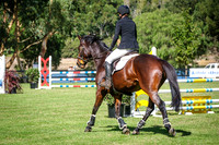 26B. Rising Standards 95cm JWA Foundation Series for Riders 18 & Over AM5