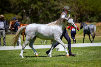IMGP4957