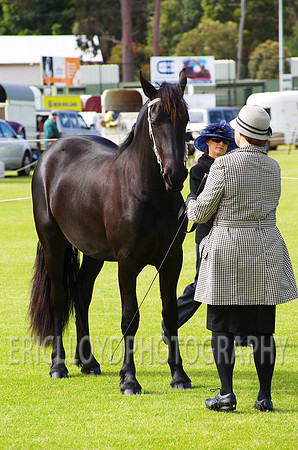 Jess-2472