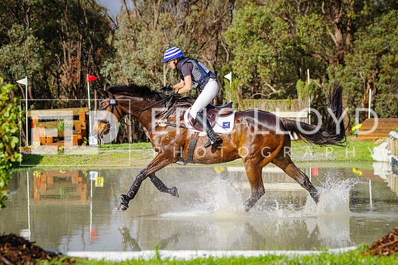 IMGP0299