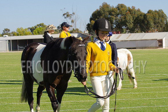 Beverley20 09 14-8023
