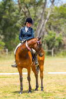 Adult Walk, Trot & Canter Only