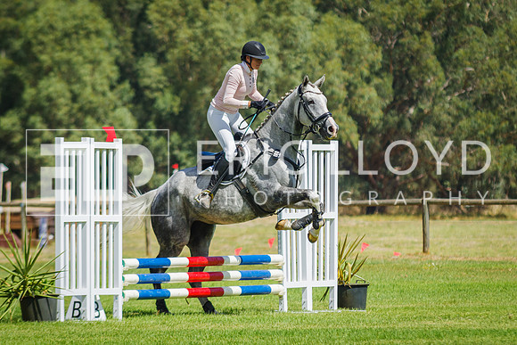 ROYL9085