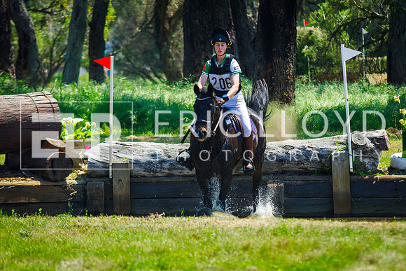 IMGP0537