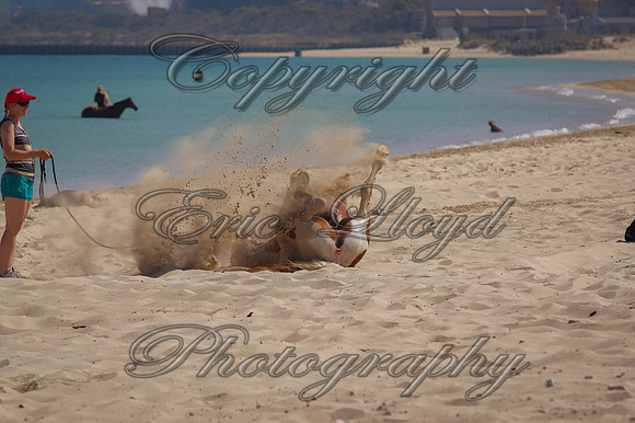 IMJL8176