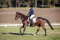 DSCF0377