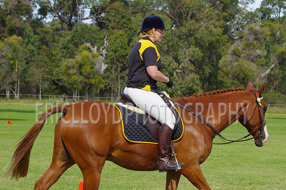 ARCA WH 2014-6572