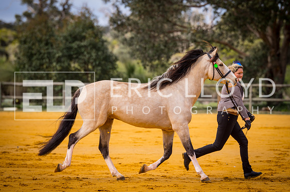 untitled-0022-2