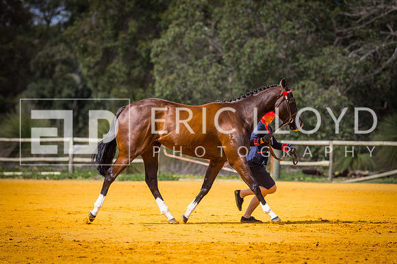 untitled-0441-2