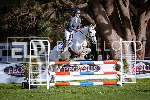 IMGP7333
