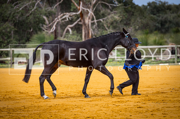 untitled-0955