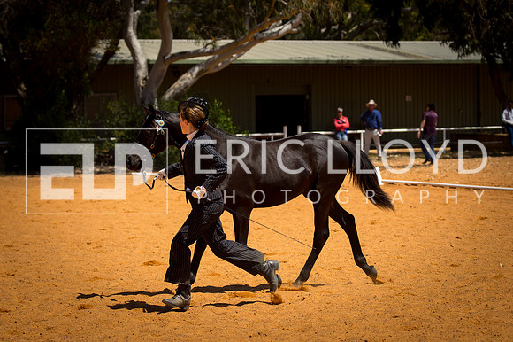 untitled-9583