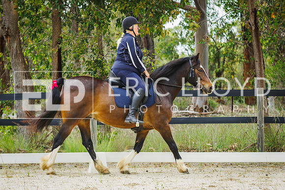 IMGP1138