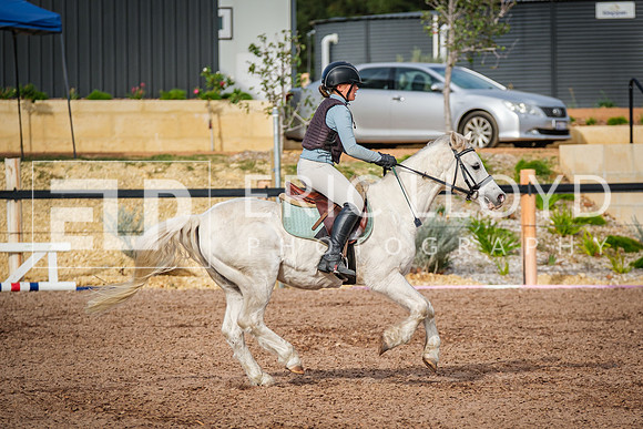 DSCF8751